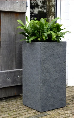 Plantenbak Arizona Cubihi - L28 X B28 X H60cm - Donkergrijs -Botanische Tuin arizona cubihi graphite w28h60 plantenbak 7 4