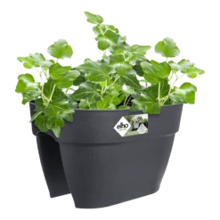 Elho Balkonbak Vibia Campana Bridge 40cm - Antraciet 7 Elho Balkonbak Vibia Campana Bridge 40cm - Antraciet -Botanische Tuin balkonbak vibia campana bridge 40cm antraciet balkonbak antraciet 3 1