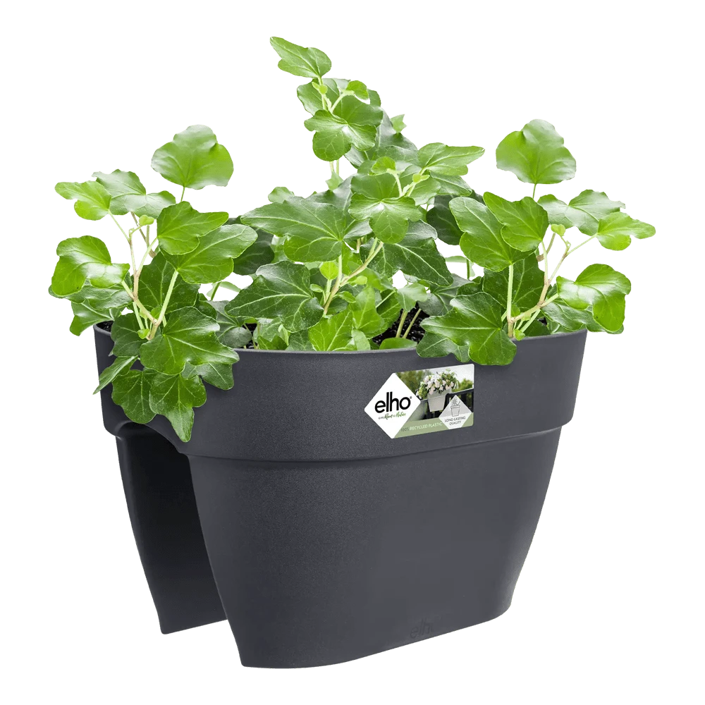 Elho Balkonbak Vibia Campana Bridge 40cm - Antraciet 3 Elho Balkonbak Vibia Campana Bridge 40cm - Antraciet - Afbeelding 3