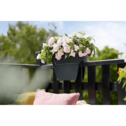 Elho Balkonbak Vibia Campana Bridge 40cm - Antraciet 9 Elho Balkonbak Vibia Campana Bridge 40cm - Antraciet -Botanische Tuin balkonbak vibia campana bridge 40cm antraciet balkonbak antraciet 5 1