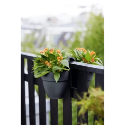 Elho Balkonbak Vibia Campana Twin 21cm - Antraciet -Botanische Tuin balkonbak vibia campana twin 21cm antraciet balkonbak antraciet 5 1