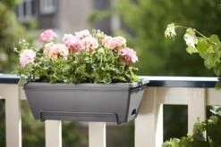 Balkonbak Elho Barcelona Allin 1 50cm - Antraciet 7 Balkonbak Elho Barcelona Allin 1 50cm - Antraciet -Botanische Tuin barcelona allin1 50cm plantenbak antraciet 7 18