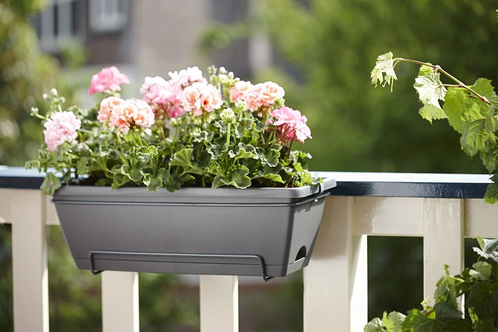 Balkonbak Elho Barcelona Allin 1 50cm - Antraciet 4 Balkonbak Elho Barcelona Allin 1 50cm - Antraciet - Afbeelding 4