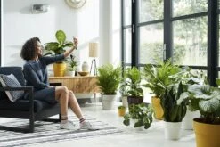 Bloempot Elho B.for Original Rond 30cm - Wit -Botanische Tuin bfor original rond 30cm bloempot wit 6 17