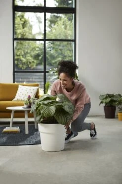 Bloempot Elho B.for Original Rond 30cm - Wit -Botanische Tuin bfor original rond 30cm bloempot wit 7 17