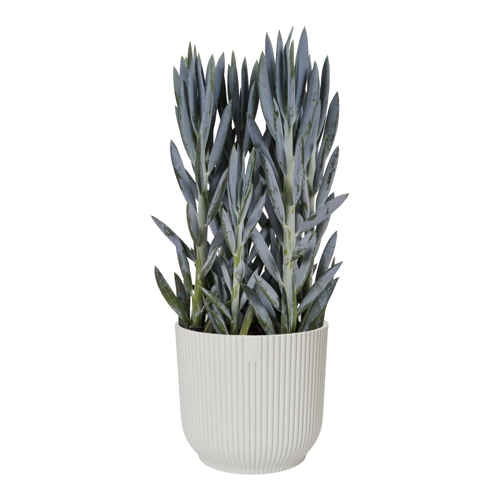 Bloempot Elho Vibes Fold Rond Wielen - D35 X H32cm - Zijdewit 3 Bloempot Elho Vibes Fold Rond Wielen - D35 X H32cm - Zijdewit - Afbeelding 3