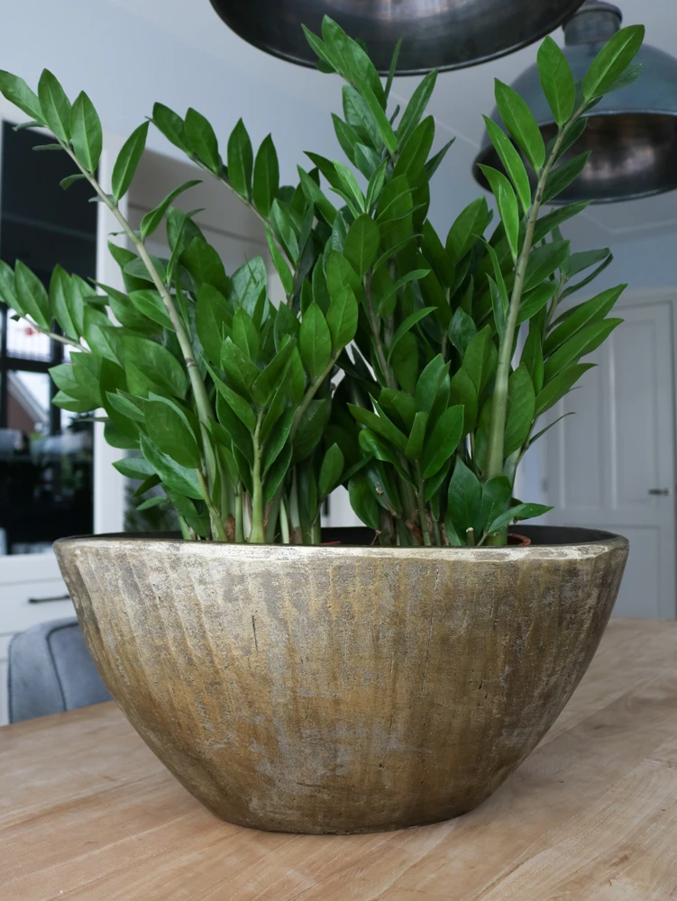 Bloempot Kos Ovaal - L35 X B16 X H19cm - Goud 2 Bloempot Kos Ovaal - L35 X B16 X H19cm - Goud - Afbeelding 2