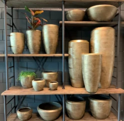 Plantenschaal Kos - D45 X H20cm - Goud -Botanische Tuin bloempot kos serie goud bloempot 3 1 3