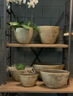 Bloempot Kos Ovaal - L35 X B16 X H19cm - Goud 5 Bloempot Kos Ovaal - L35 X B16 X H19cm - Goud -Botanische Tuin bloempot kos serie ovaal goud bloempot 3 1