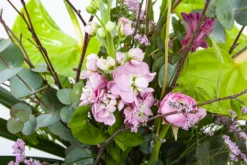 Boeket Anthurium Middel -Botanische Tuin boeket anthurium boeketten 3 2