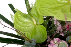 Boeket Anthurium Middel -Botanische Tuin boeket anthurium boeketten 4 2