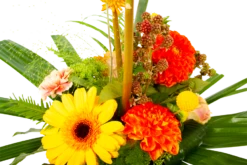 Boeket Beatrix Klein -Botanische Tuin boeket beatrix boeketten 4 3 1