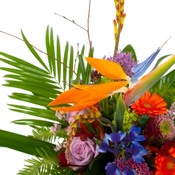 Boeket Deluxe Special Voor Jou Groot 7 Boeket Deluxe Special Voor Jou Groot -Botanische Tuin boeket deluxe special voor jou boeketten 3