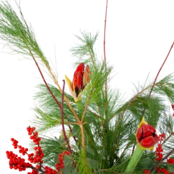 Boeket Deluxe Winter Middel -Botanische Tuin boeket deluxe winter boeketten 3 1