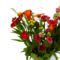 Boeket Hippe Herfst Groot 8 Boeket Hippe Herfst Groot -Botanische Tuin boeket hippe herfst groot boeketten 3 1