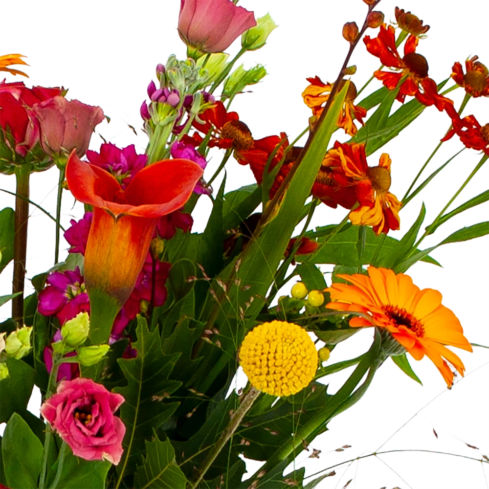 Boeket Hippe Herfst Groot 4 Boeket Hippe Herfst Groot - Afbeelding 4