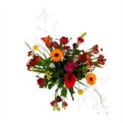 Boeket Hippe Herfst Middel 7 Boeket Hippe Herfst Middel -Botanische Tuin boeket hippe herfst middel boeketten 2 1