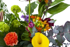 Boeket Judith Groot -Botanische Tuin boeket judith boeketten 3