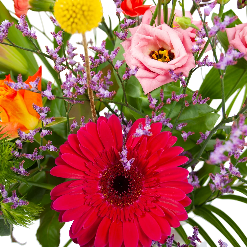 Boeket Kleurrijk Geplukt Klein 2 Boeket Kleurrijk Geplukt Klein - Afbeelding 2