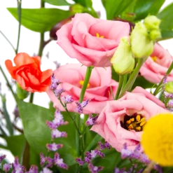 Boeket Kleurrijk Geplukt Klein 7 Boeket Kleurrijk Geplukt Klein -Botanische Tuin boeket kleurrijk geplukt boeketten 3