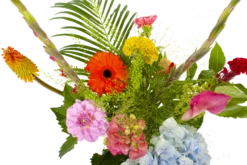 Boeket Lach Groot -Botanische Tuin boeket lach boeketten 3 1