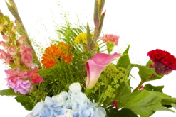 Boeket Lach Groot -Botanische Tuin boeket lach boeketten 4 1