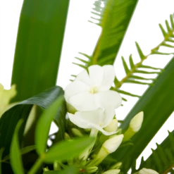 Boeket Liefdevolle Winter Groot 8 Boeket Liefdevolle Winter Groot -Botanische Tuin boeket liefdevolle winter boeketten 3