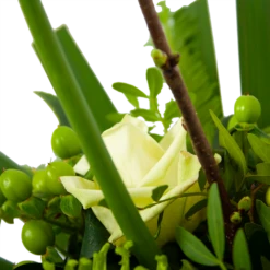 Boeket Liefdevolle Winter Middel -Botanische Tuin boeket liefdevolle winter boeketten 4 1