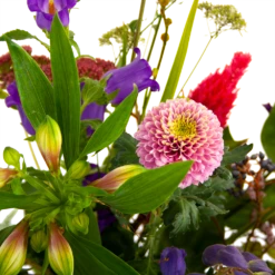 Boeket Paarse Passie Middel -Botanische Tuin boeket paarse passie middel boeketten 4