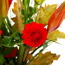 Boeket Pluim Van Het Najaar Klein -Botanische Tuin boeket pluim van het najaar klein boeketten 3