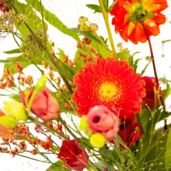 Boeket Plukgeluk Klein -Botanische Tuin boeket plukgeluk klein boeketten 3