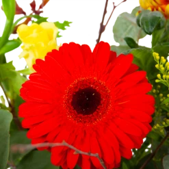 Boeket Speciale Verrassing Klein -Botanische Tuin boeket speciale verrassing boeketten 3