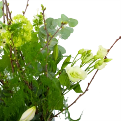 Boeket Witte Winter Middel -Botanische Tuin boeket witte winter boeketten 3