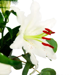 Boeket Witte Winter Middel -Botanische Tuin boeket witte winter boeketten 4