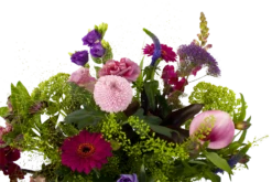 Boeket Zomerbries Groot 8 Boeket Zomerbries Groot -Botanische Tuin boeket zomerbries boeketten 3 5