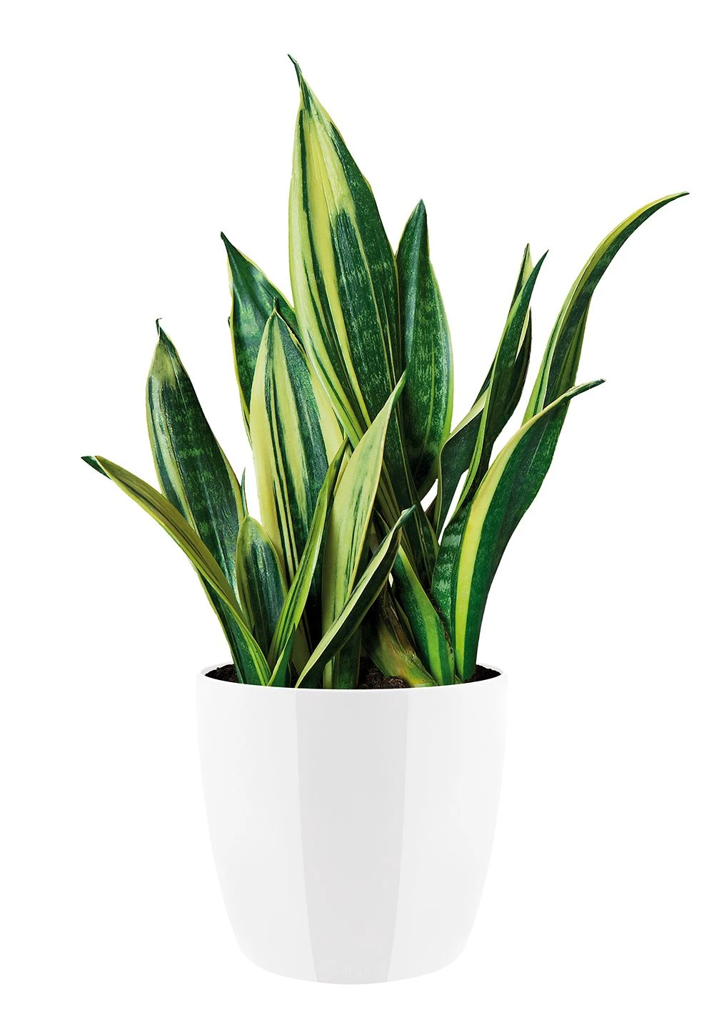 Bloempot Elho Brussels Diamond Rond 22cm - Wit 3 Bloempot Elho Brussels Diamond Rond 22cm - Wit - Afbeelding 3