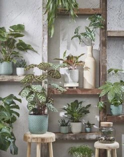 Bloempot Daan - D21.5 X H20.5cm - Blauw -Botanische Tuin daan pot rond blauw h20 5xd21 5cm bloempot 7 7