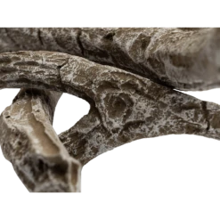 Napoleon Decoratieve Drijfhoutset - Preview 100 -Botanische Tuin decoratieve drijfhoutset preview 3 1