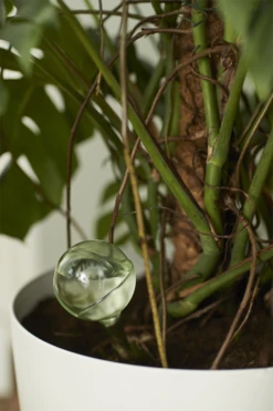 Aqua Care Elho - Transparant 9 Aqua Care Elho - Transparant -Botanische Tuin elho aqua care transparant water geven 7 2