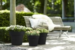 Bloempot Elho Green Basics Top Planter 40cm - Living Black -Botanische Tuin green basics top planter 40cm bloempot living black 7 13