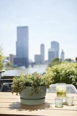 Plantenschaal Elho Greenville 33cm - Bladgroen -Botanische Tuin greenville schaal 33cm bloempot bladgroen 6 13