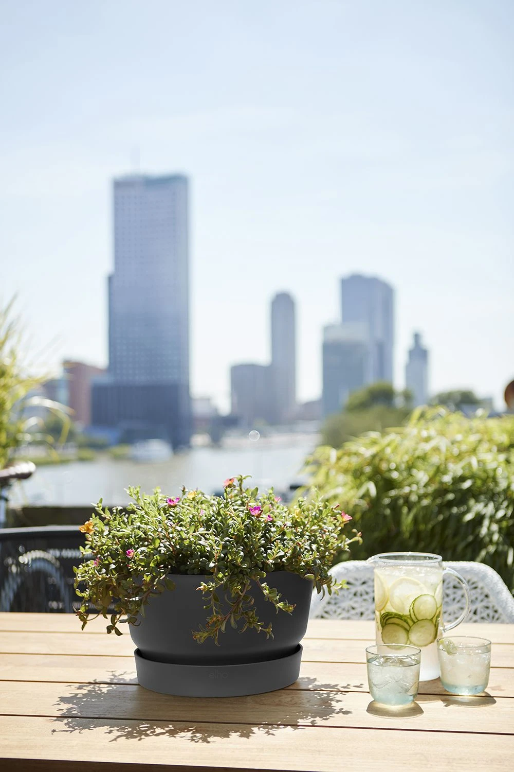 Plantenschaal Elho Greenville 33cm - Living Black 3 Plantenschaal Elho Greenville 33cm - Living Black - Afbeelding 3