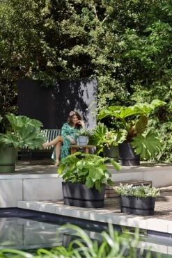 Bloembak Elho Greenville Terrace Long 50cm - Met Wielen - Living Black -Botanische Tuin greenville trough long 50 plantenbak living black 6 13