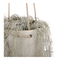 Hangpot Resa - D18,5 X H17cm - Lichtgrijs -Botanische Tuin hangpot resa d18 5 x h17cm lichtgrijs hangpot 3 1