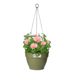 Elho Hangschaal Vibia Campana 26cm - Saliegroen -Botanische Tuin hangschaal vibia campana 26cm saliegroen hangpot saliegroen 3 1