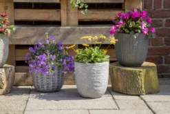 Bloempot Indiana Egg Pebble - D55 X H51cm - Donkergrijs -Botanische Tuin indiana egg pot pebble d55h51 bloempot donkergrijs 7 4