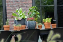 Bloempot Iowa Bullet - D44 X H39cm - Donkergrijs 5 Bloempot Iowa Bullet - D44 X H39cm - Donkergrijs -Botanische Tuin iowa bullet graphite d44h39 bloempot 7 9