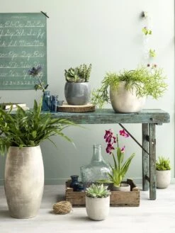 Bloempot Lester - D33 X H31cm - Donkerblauw -Botanische Tuin lester pot rond d blauw h31xd33cm bloempot 6 12