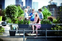 Balkonbak Elho Loft Urban Allin1 50cm - Antraciet 7 Balkonbak Elho Loft Urban Allin1 50cm - Antraciet -Botanische Tuin loft urban balkonbak allin1 50 plantenbak antraciet 7 13