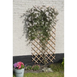 Nature - Houten Klimrek Naturel 100x200cm 5 Nature - Houten Klimrek Naturel 100x200cm -Botanische Tuin nature houten klimrek naturel 100x200cm 3 2